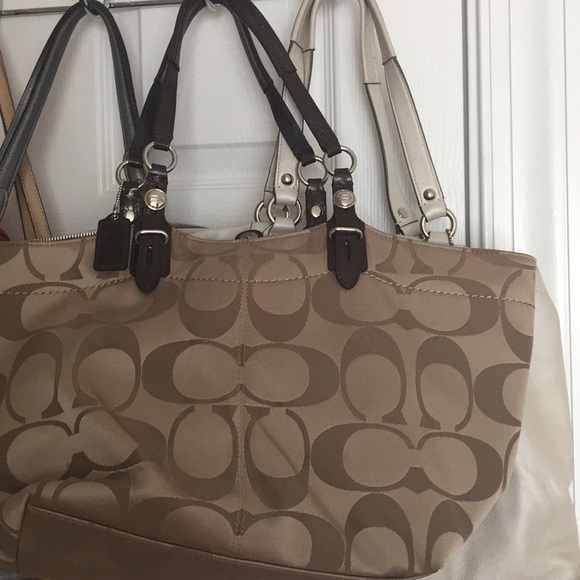 coach purses